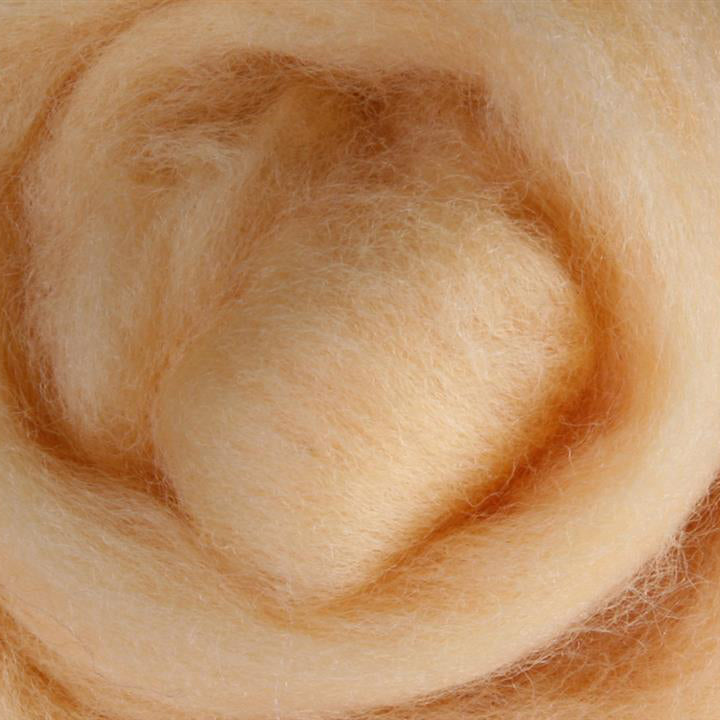 Ashford Corriedale wool fleece for needle felting